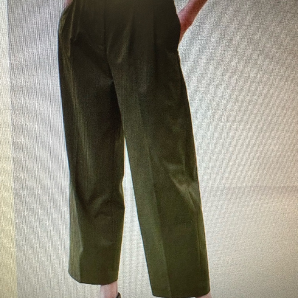 Cruz Pleated Wide-Leg Chino Pants